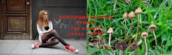 не бодяженный Аркадак