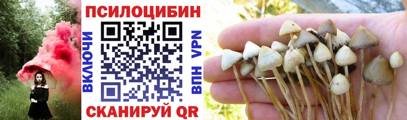 Псилоцибиновые грибы MAGIC MUSHROOMS  Пенза 