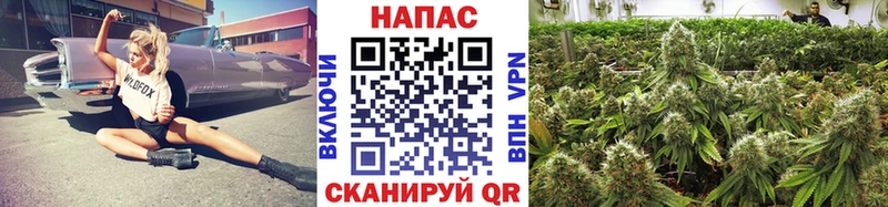 Бошки Шишки тримм Пенза
