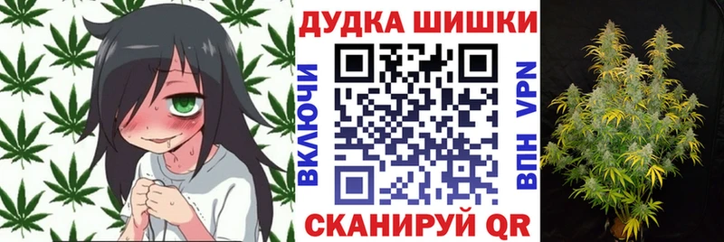 Бошки марихуана OG Kush Пенза